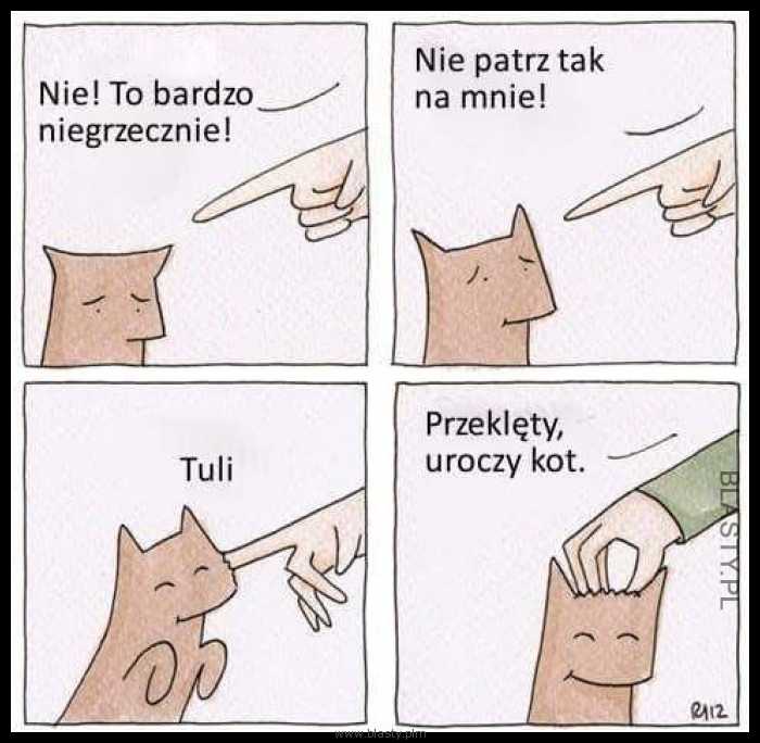 Nie to bardzo niegrzecznie