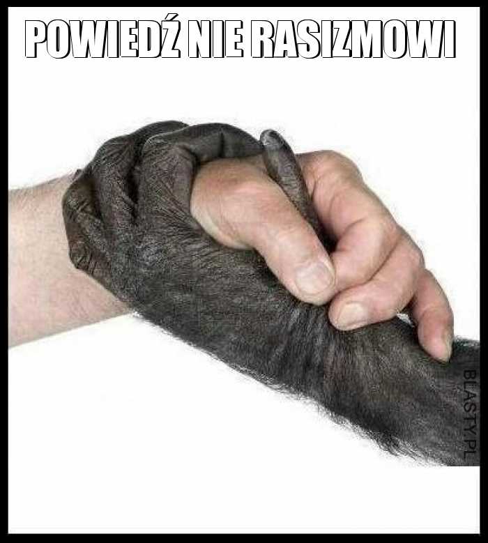 Powiedź nie rasizmowi