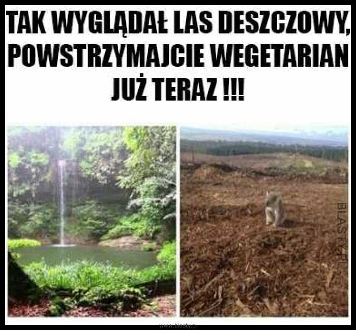 Powstrzymajcie wegetarian !!!