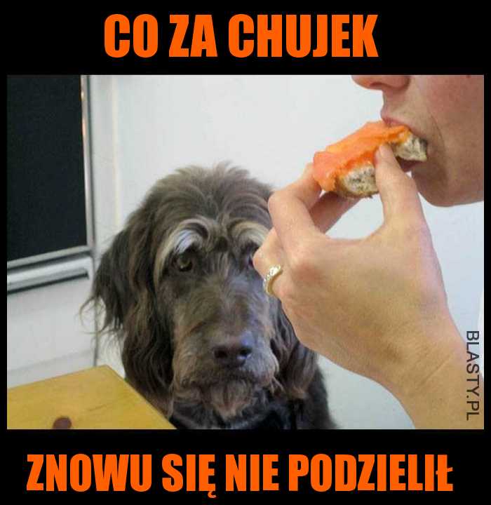 Co za chujek