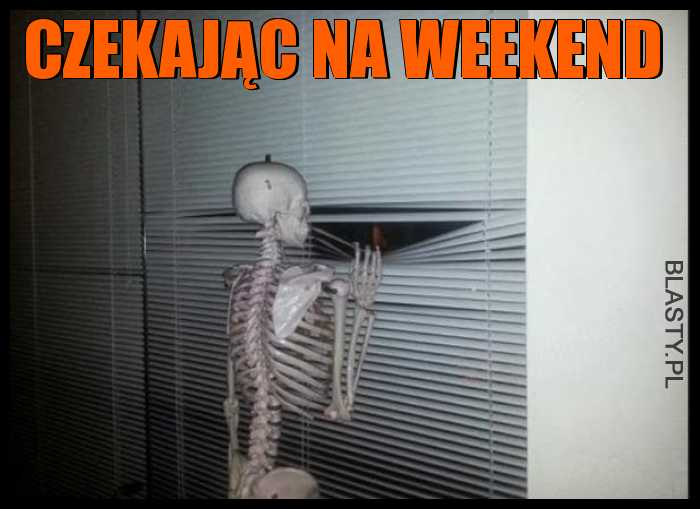 Czekając na weekend