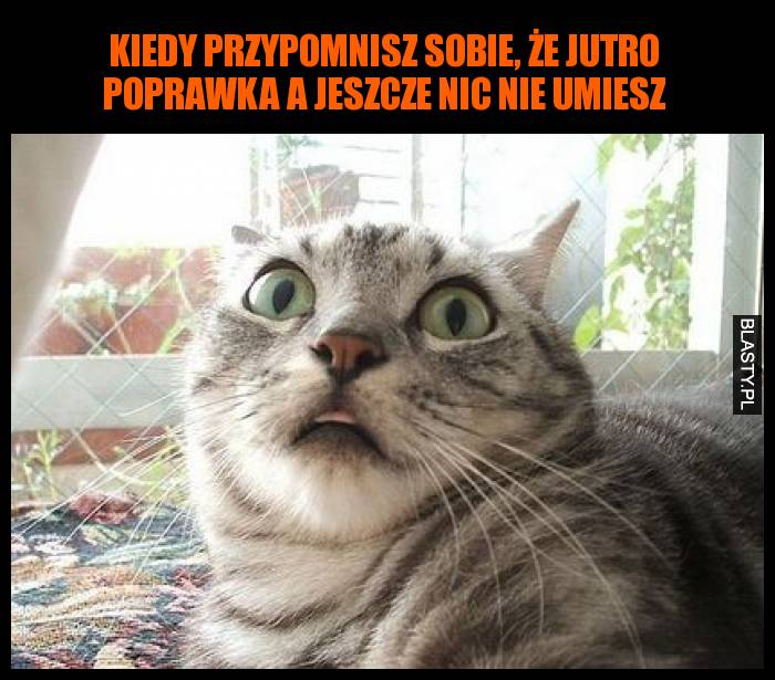 Kiedy przypomnisz sobie, że jutro poprawka a jeszcze nic nie umiesz