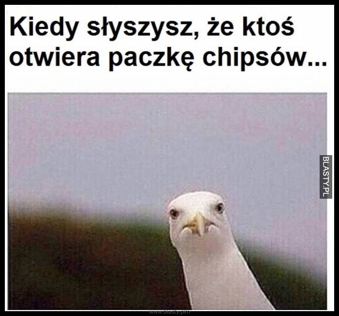 Kiedy słyszysz, że ktoś otwiera paczkę chipsów