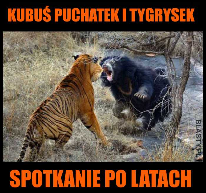 Kubuś Puchatek i tygrysek