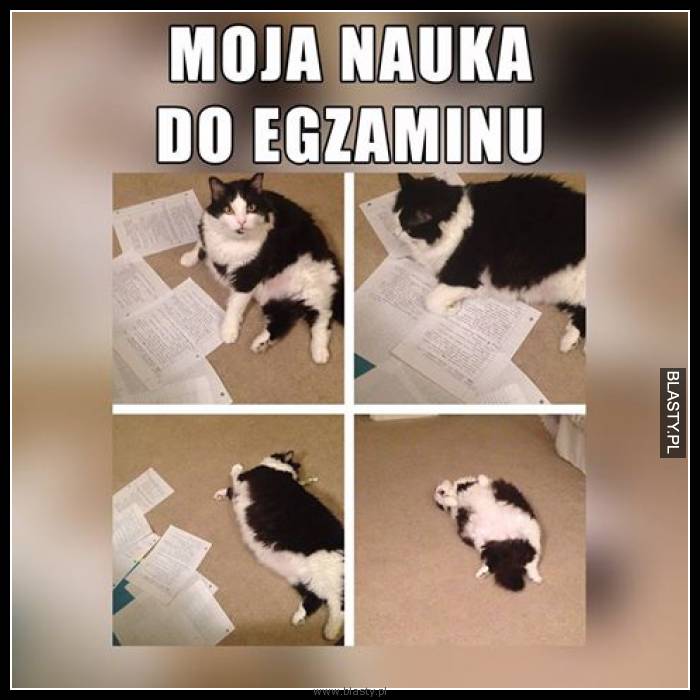 Moja nauka do egzaminu