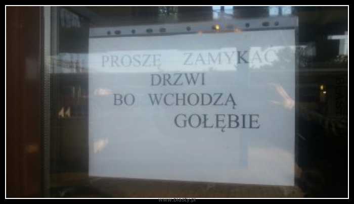 Proszę zamykać drzwi bo wchodzą gołębie