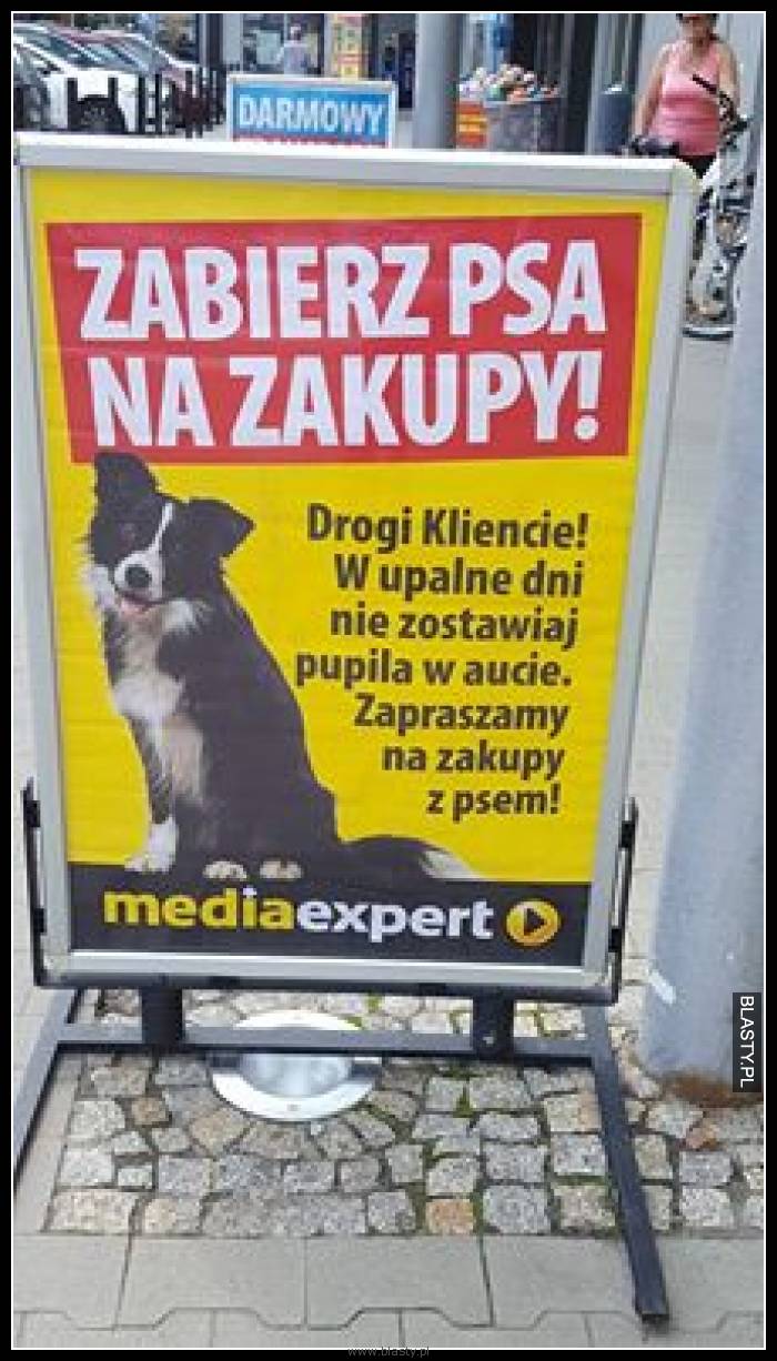 Zabierz psa na zakupy