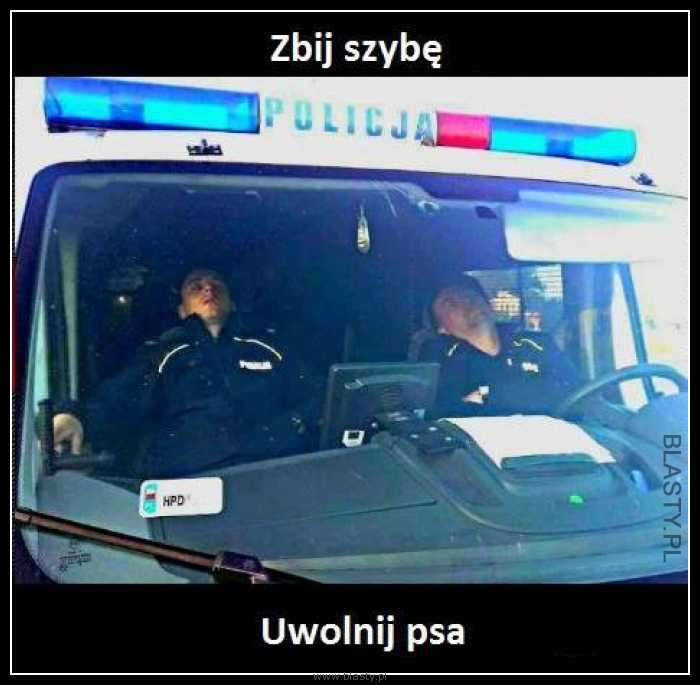 Zbij szybę - uwolnij psa