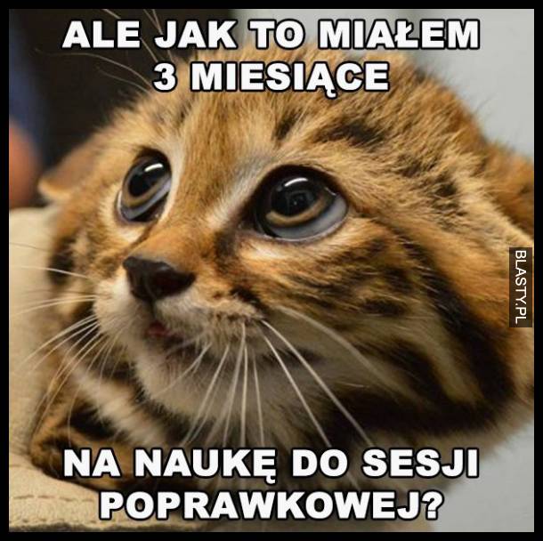 Ale jak to miałem 3 miesiące