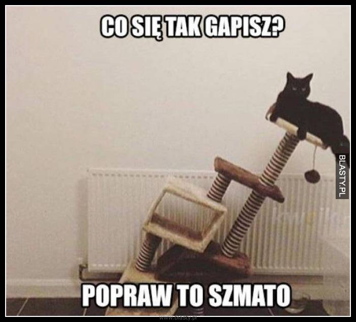 Co się tak gapisz