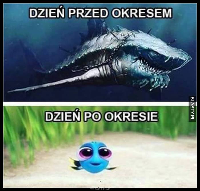 Dzień przed okresem vs dzień po okresie