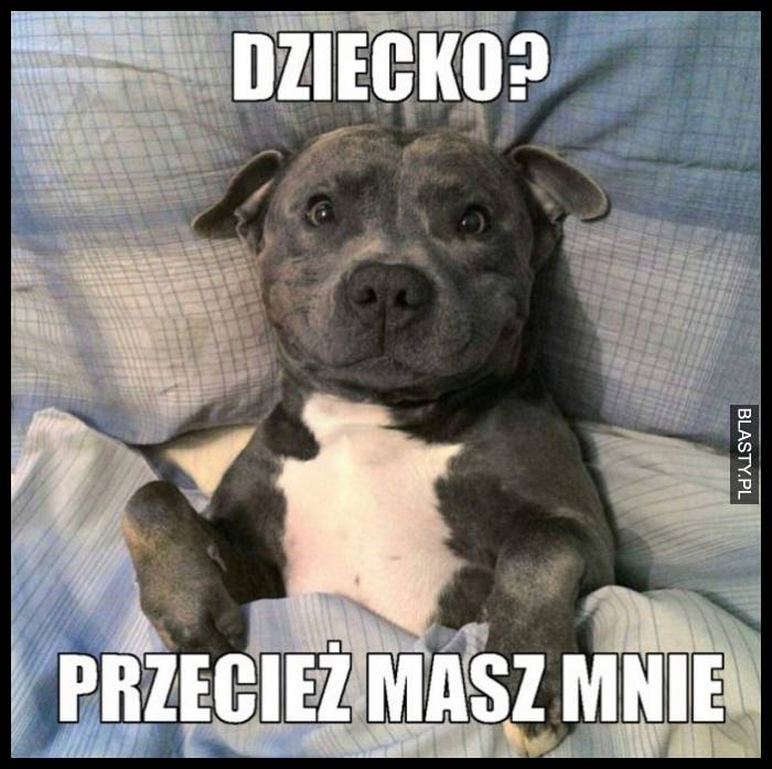 Przecież masz mnie