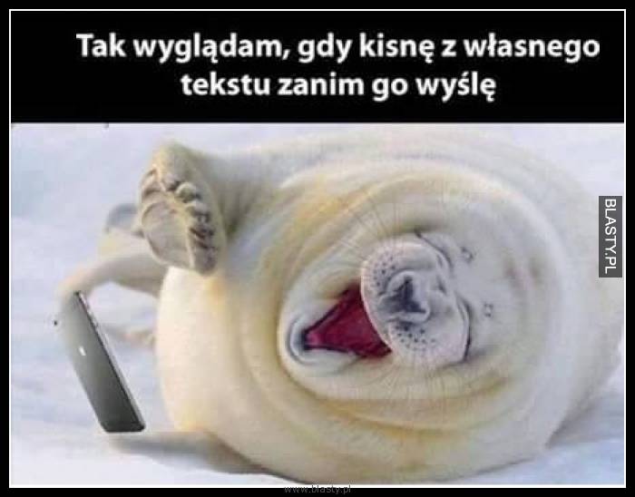 Tak wyglądam gdy kisnę z własnego tekstu zanim go wyślę