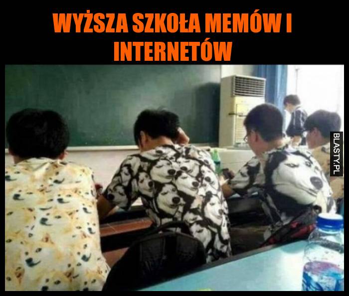 Wyższa szkoła memów i internetów