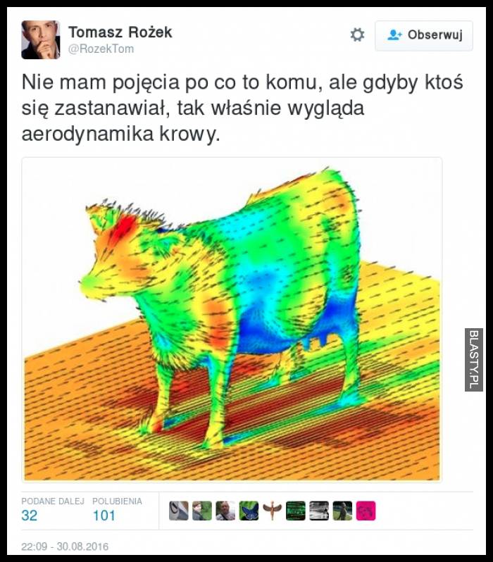 Aerodynamika krowy