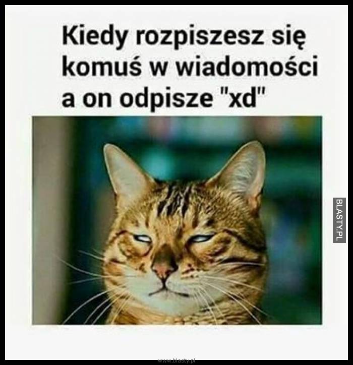 Kiedy rozpiszesz się komuś w wiadomości a on odpisze xD