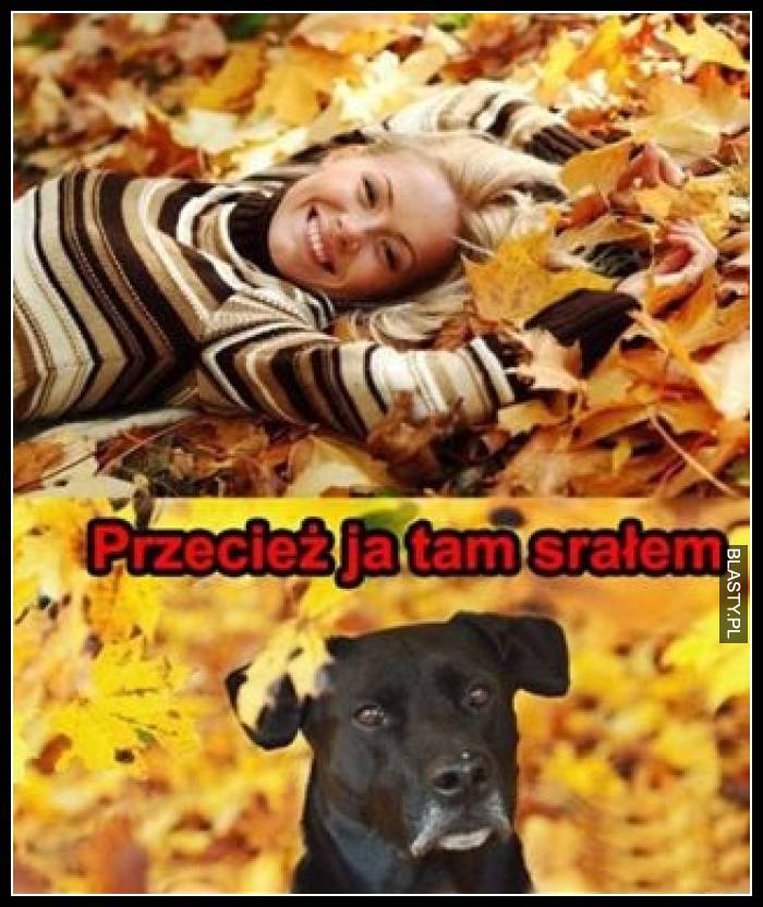 Przecież ja tam srałem