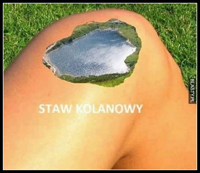 Staw kolanowy