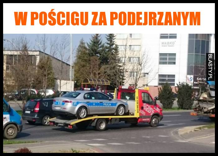 w pościgu za podejrzanym