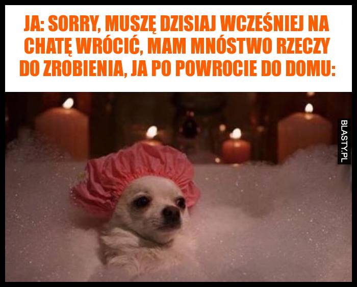 Ja: Sorry, muszę dzisiaj wcześniej na chatę wrócić, mam mnóstwo rzeczy do zrobienia, Ja po powrocie do domu