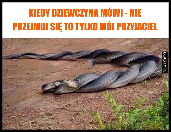 Kiedy dziewczyna mówi - nie przejmuj się to tylko mój przyjaciel