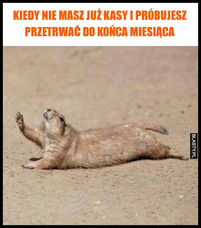 Kiedy nie masz już kasy i próbujesz przetrwać do końca miesiąca