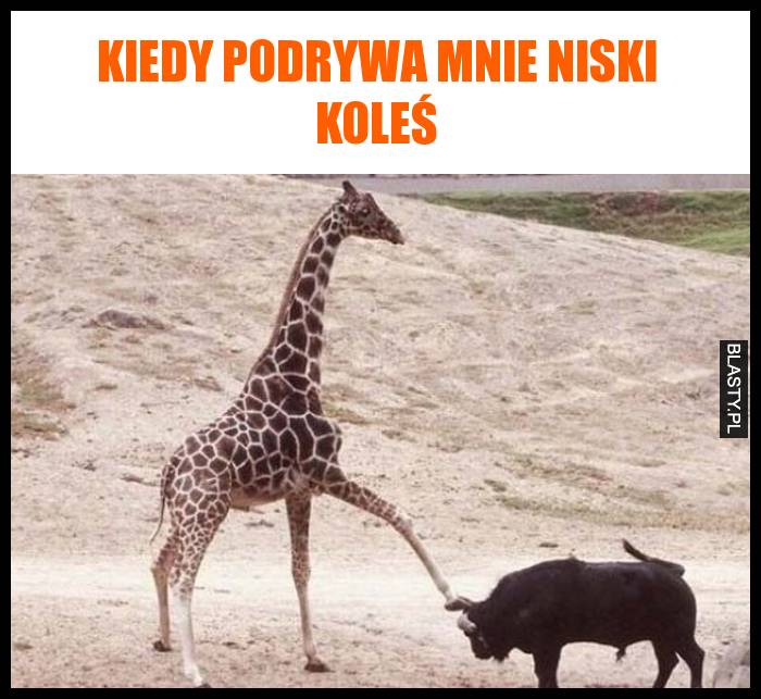 kiedy podrywa mnie niski koleś