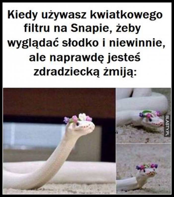 Kiedy używasz kwiatowego filtru na snapie, żeby wyglądać słodko