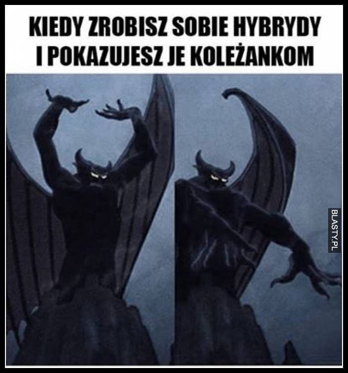 Kiedy zrobisz hybrydy i pokazujesz je koleżankom