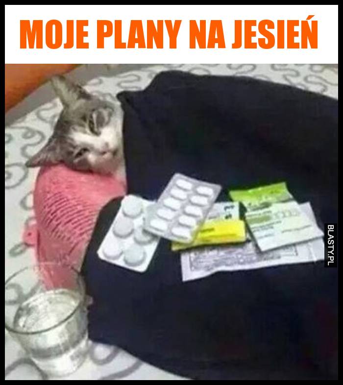 Moje plany na jesień