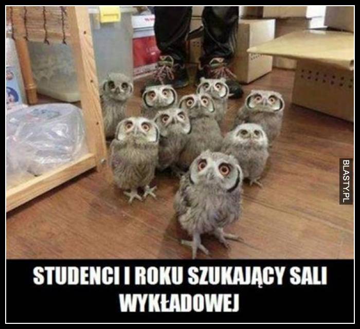 Studenci 1 roku szukający sali wykładowej