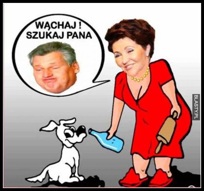 Wąchaj - szukaj Pana