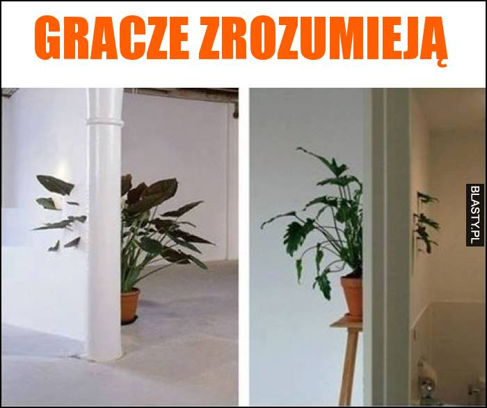 Gracze zrozumieją