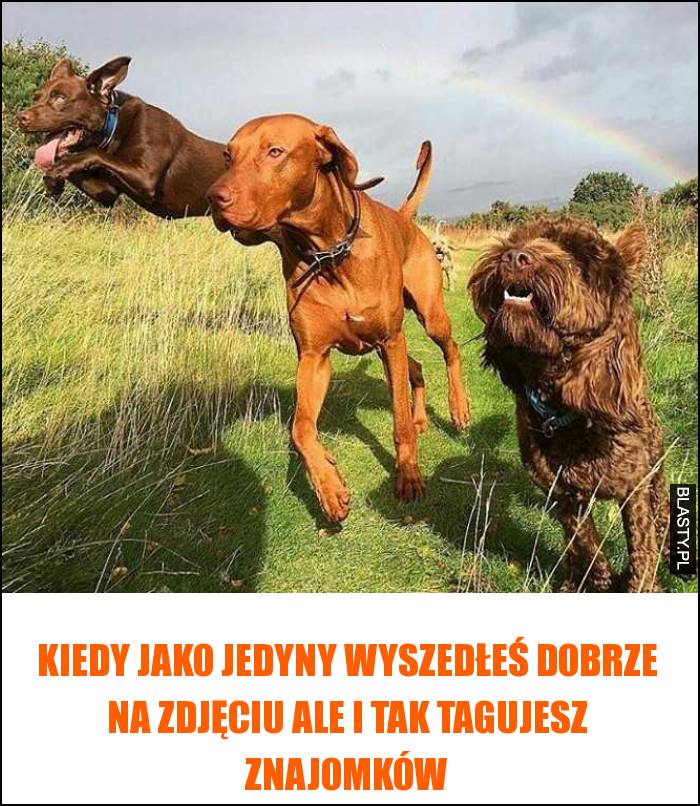 Kiedy jako jedyny wyszedłeś dobrze na zdjęciu ale i tak tagujesz znajomków