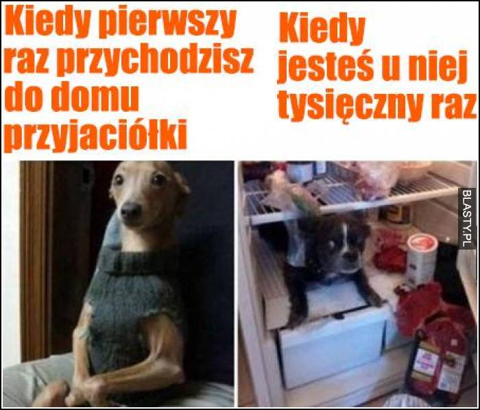 Kiedy pierwszy raz przychodzisz do domu przyjaciółki vs kiedy jesteś tam tysięczny raz