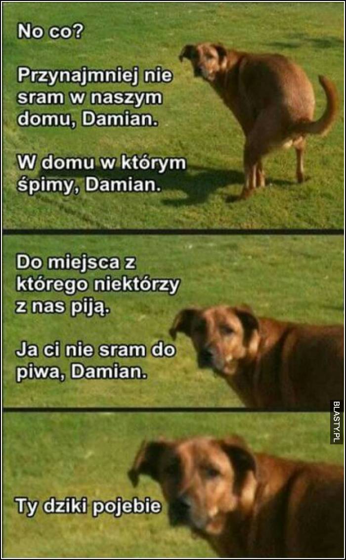 20+ memów - srajacy pies najlepsze śmieszne memy i demotywatory facebook - srajacy  pies