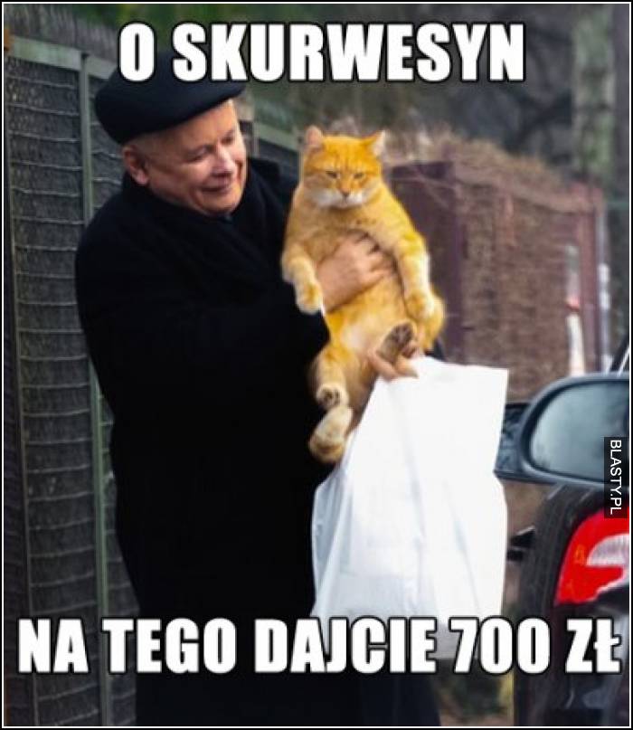 20 Memow Kot Jaroslawa Kaczynskiego Najlepsze Smieszne Memy I Demotywatory Facebook Kot Jaroslawa Kaczynskiego