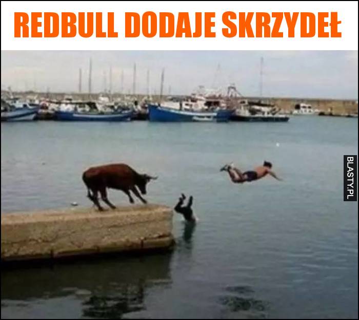 Redbull dodaje skrzydeł