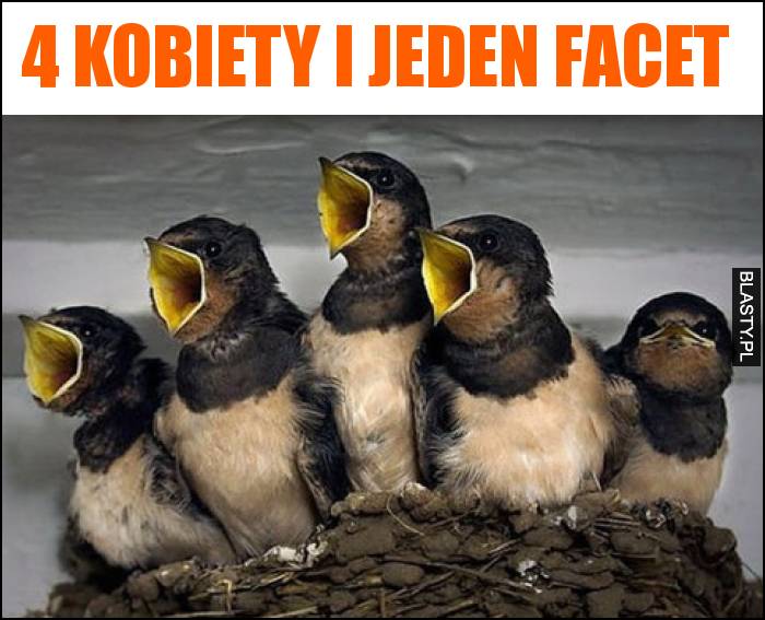 4 kobiety i jeden facet