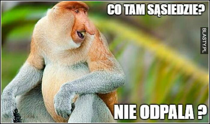 Co tam sąsiedzie - nie odpala ?