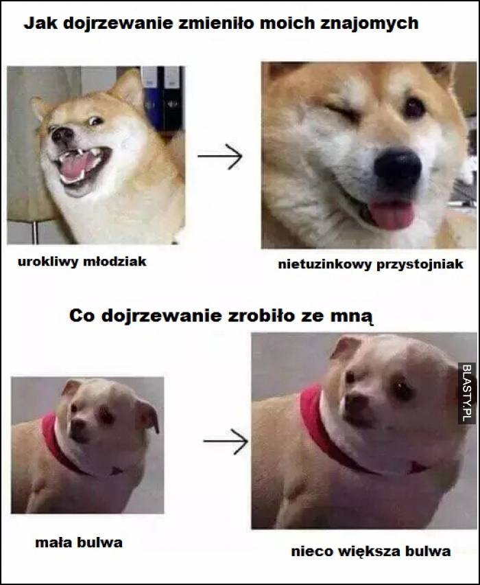 Dojrzewanie takie jest