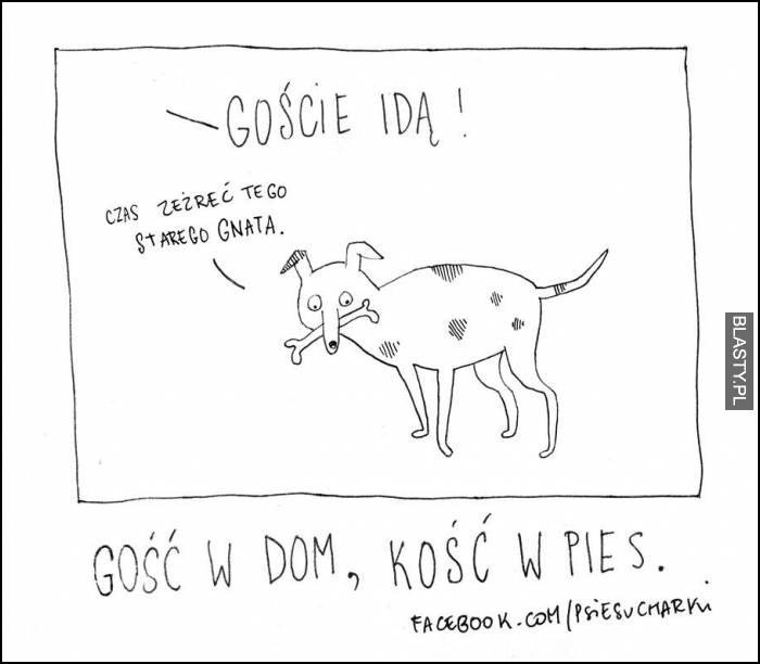 Goście idą