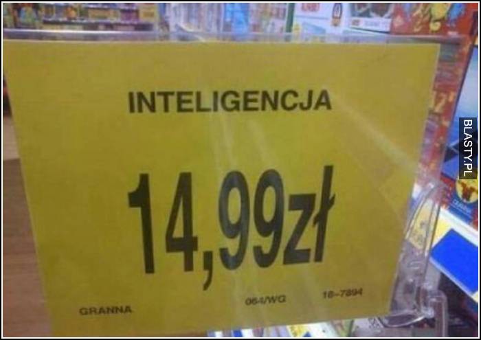 Inteligencja