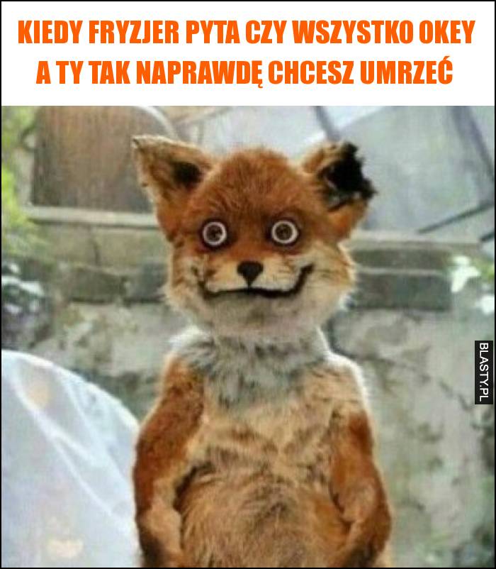 Kiedy fryzjer pyta czy wszystko okey a Ty tak naprawdę chcesz umrzeć