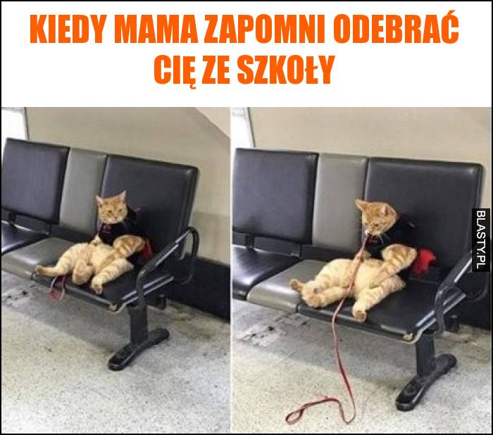 Kiedy mama zapomni odebrać cię ze szkoły