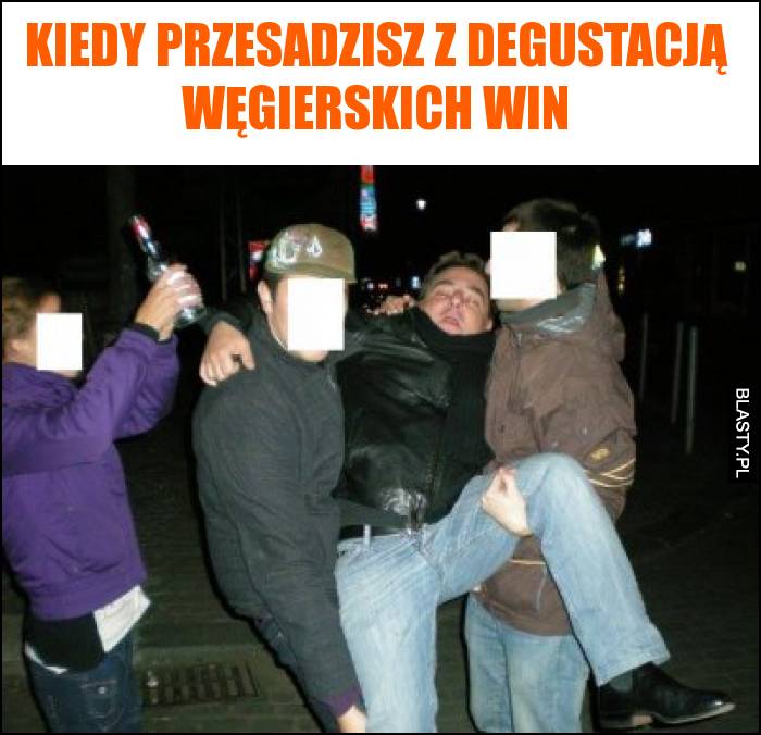 Kiedy przesadzisz z degustacją węgierskich win