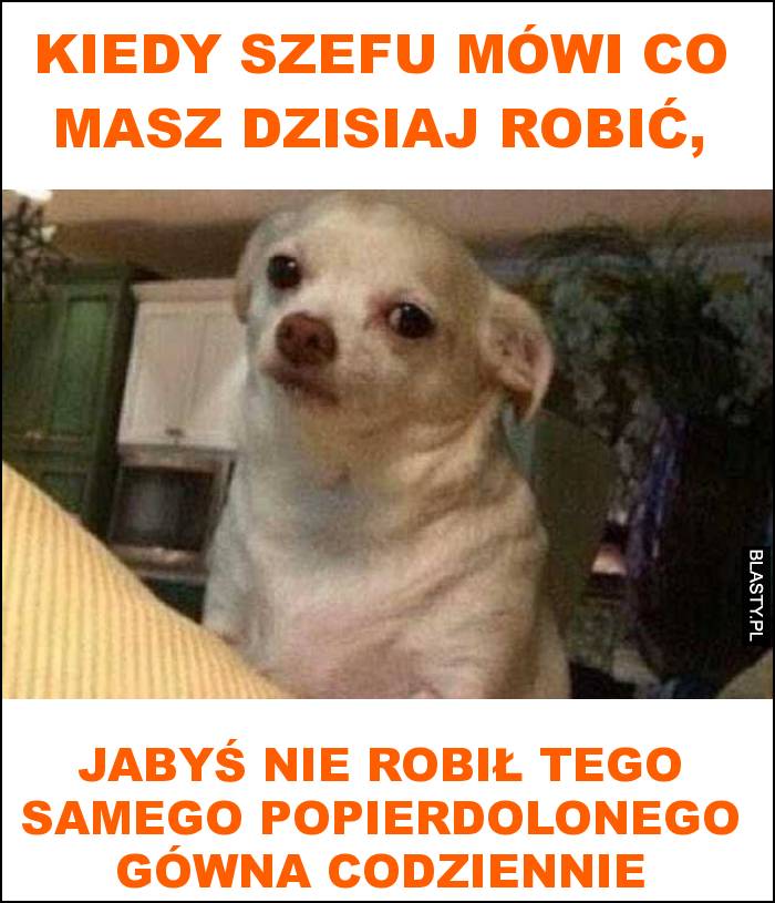 Kiedy szefu mówi co masz dzisiaj robić