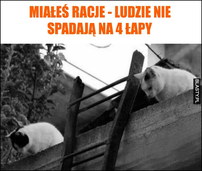 Miałeś racje - ludzie nie spadają na 4 łapy