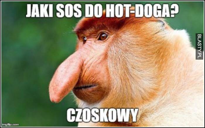 Jaki sos do hot-doga ?