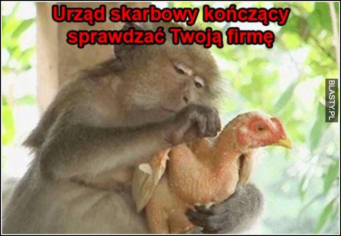 Urząd skarbowy kończący sprawdzać Twoją firmę